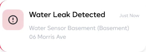 Notification: water leak detected by the basement water sensor