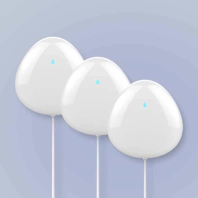 Flood and Leak Sensor