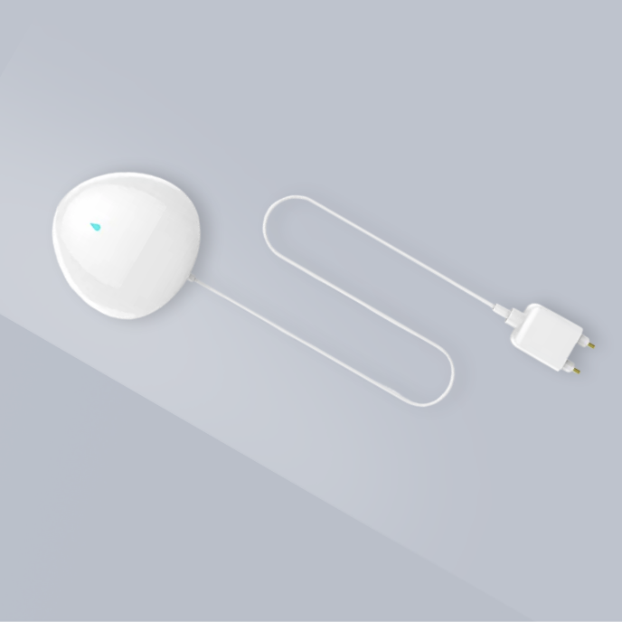 Flood & Water Leak Sensors