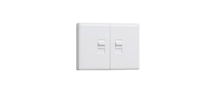 EcolinkDual Toggle Light Switch