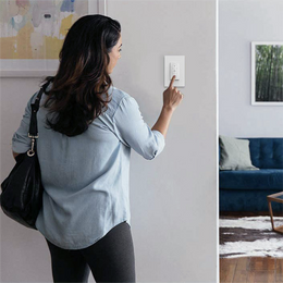 Frankever Smart Dimmer