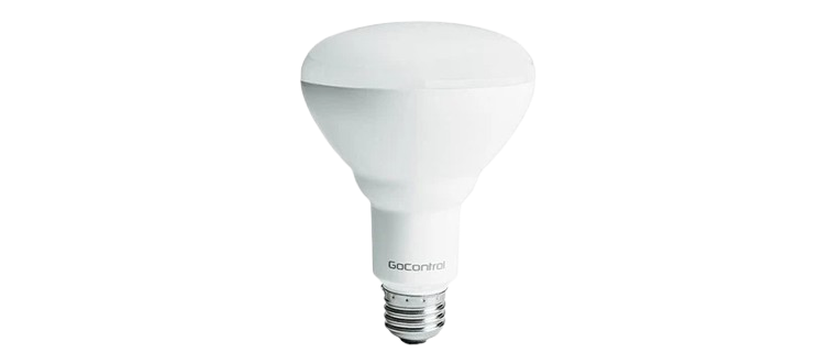 Z Wave GoControl Dimmable LED Flood Light