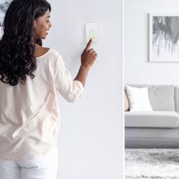 Frankever Smart Switch