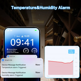 Tuya Zigbee 3.0 Temperature Humidity Sensor Thermometer, APP Remote Monitoring, Works with Smart Life Yandex Alexa ZHA