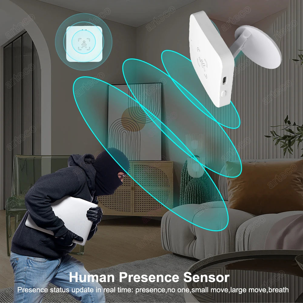 Wifi /Zigbee Human Presence Detector Smart Human Body PIR Sensor Mmwave Radar Microwave Motion Sensor with Luminance Detection