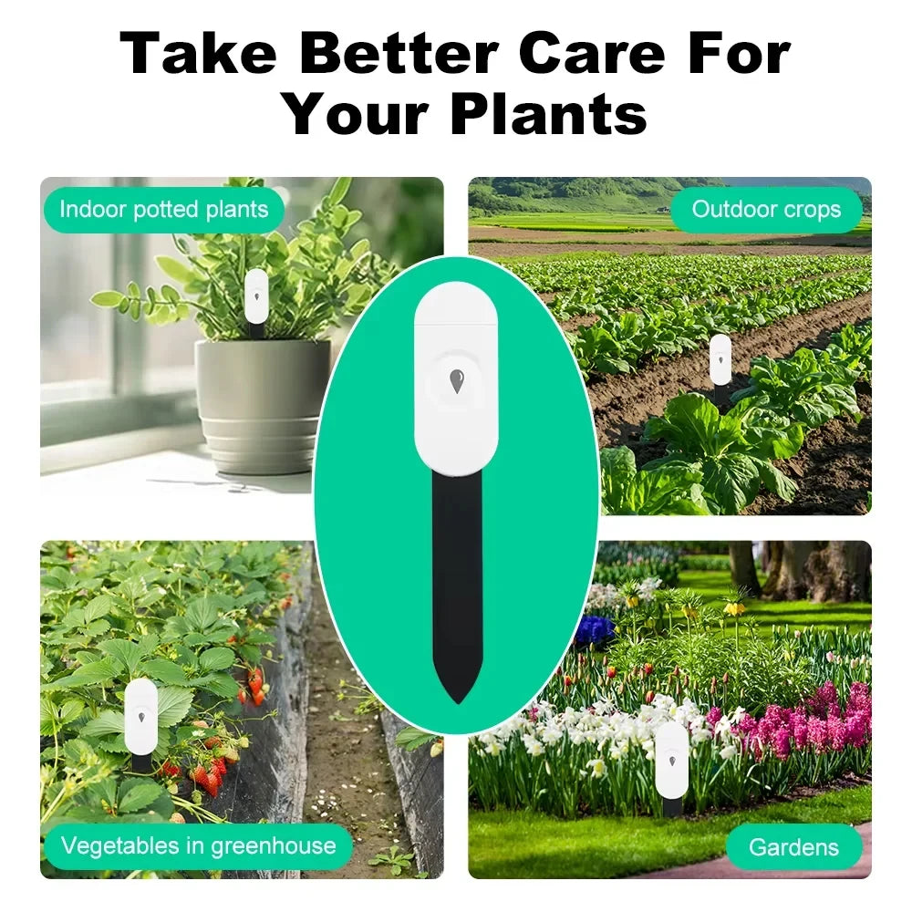Zigbee Soil Temperature and Humidity Tester App Remote Monitoring Thermo Meter Hygrometer Garden Automation Irrigation Detector