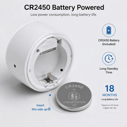 Zigbee 3.0 PIR Motion Sensor Smart Scene Linkage Human Body Sensor Work with Home Assistant Zigbee2Mqtt Ewelink Tuya Smart Life