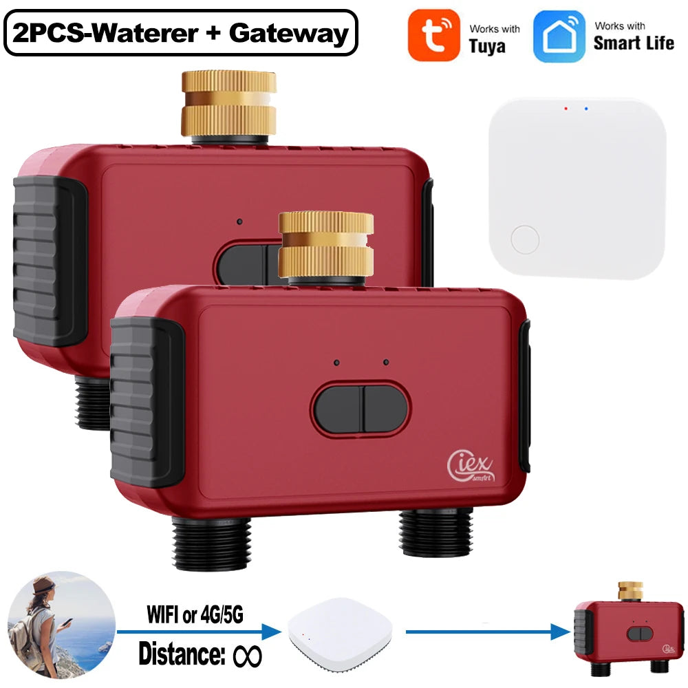 WIFI & ZIGBEE Smart 2 Zone Watering Timer Garden Automatic Irrigation System Drip Sprinkler Controller Valve Smart Life Tuya