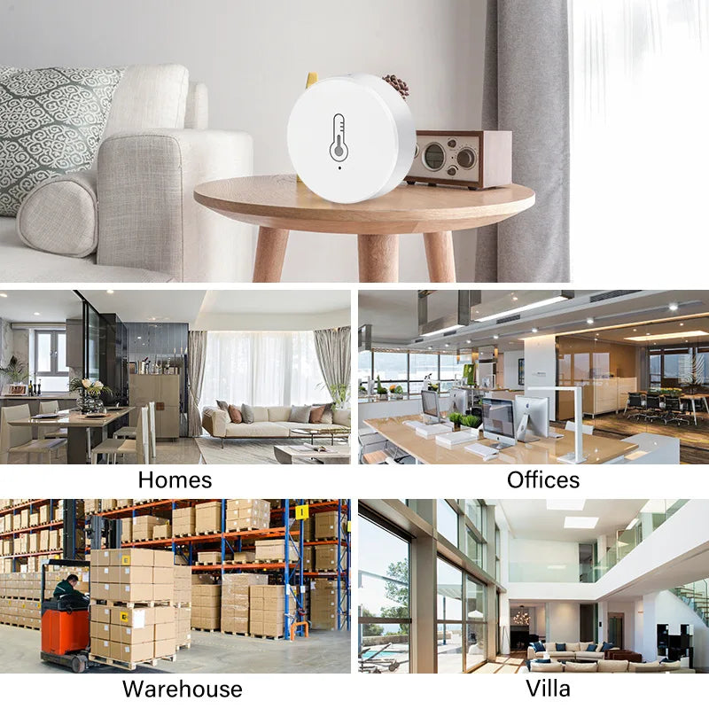 App Remote Control Siren Graffiti Smart Zigbee Temperature & Humidity Sensor Tuya Home Linkage Wireless Intelligent Hygrometer