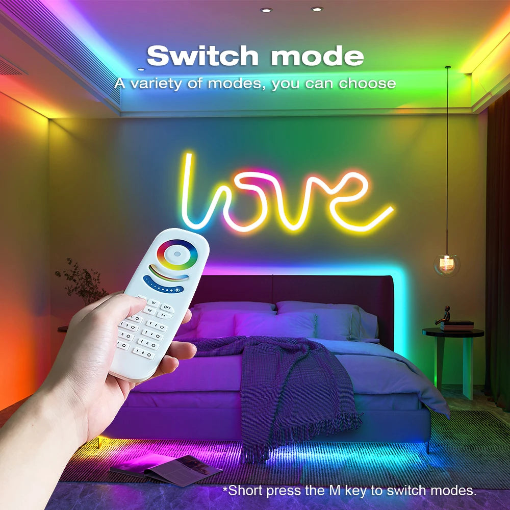DIY Smart Zigbee RF RGB Controller Light Dimmer Wireless Remote DC 5/12/24V for WS2811 WS2812 LED Strip Alexa Magic Dynamic Home