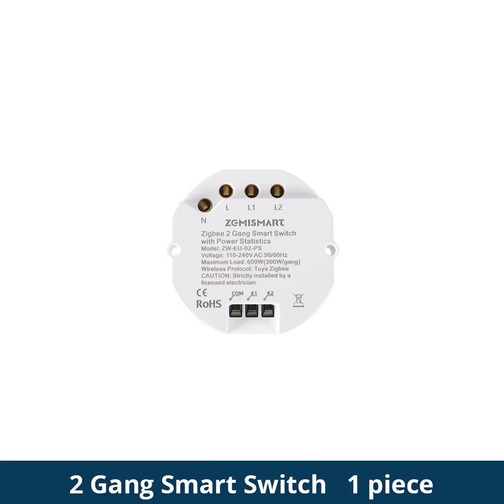 Zigbee 2 Gang Smart Inline Module Mini Light Switch with Power Statistics Function Work with Tuya Smart Life App