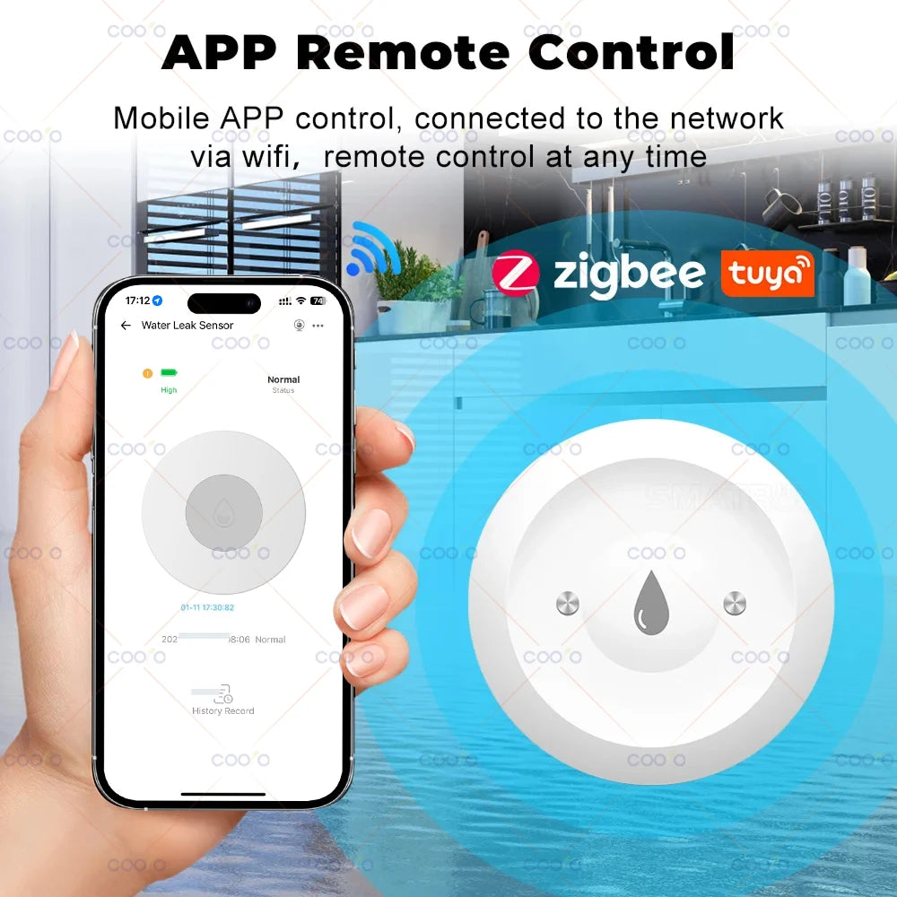 Ewelink Zigbee Water Sensor Alarm Water Leak Detector Flood Alert Overflow Security Alarm System Works with Alexa Google Alice