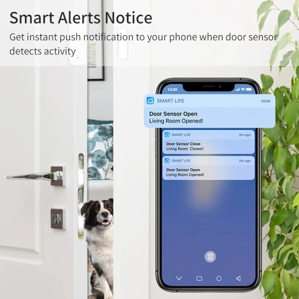 Tuya Zigbee/Wifi Magnetic Doo Window Sensor Open Closed Alarm Detector Smart Life APP Work with Alexa Google Home Need Gateway