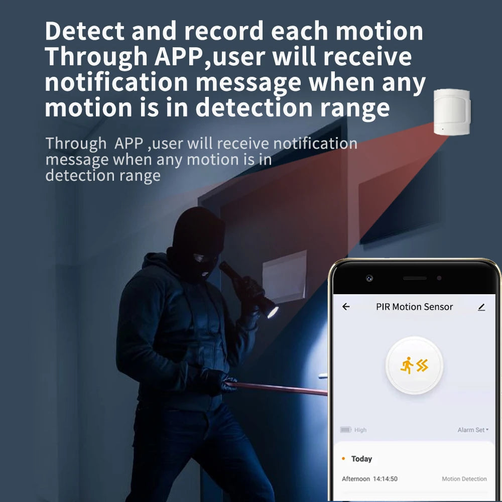 Home Assistant Smart PIR Motion Sensor Detector Home Security Burglar Wireless Ewelink Zigbee Lighting Linkage