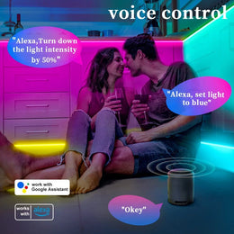 Tuya Zigbee SPI LED Controller Dimmer 5V 12V 24V WS2811 WS2812B SK6812 RGB/RGBW Addressable LED Light Tuya App for Alexa Google