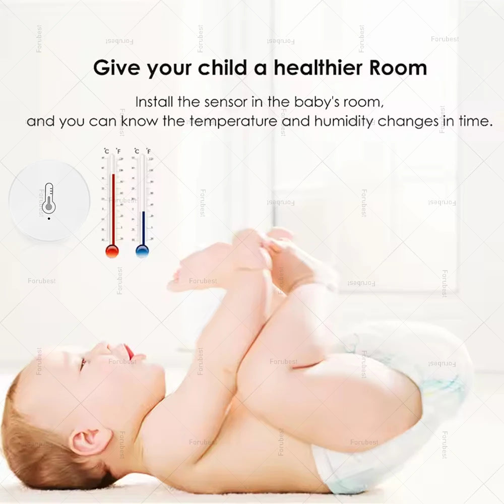Zigbee Temperature and Humidity Sensor Smart Home Hygrometer Thermometer Works with Alexa Google Yandex Alice Ewelink Gateway