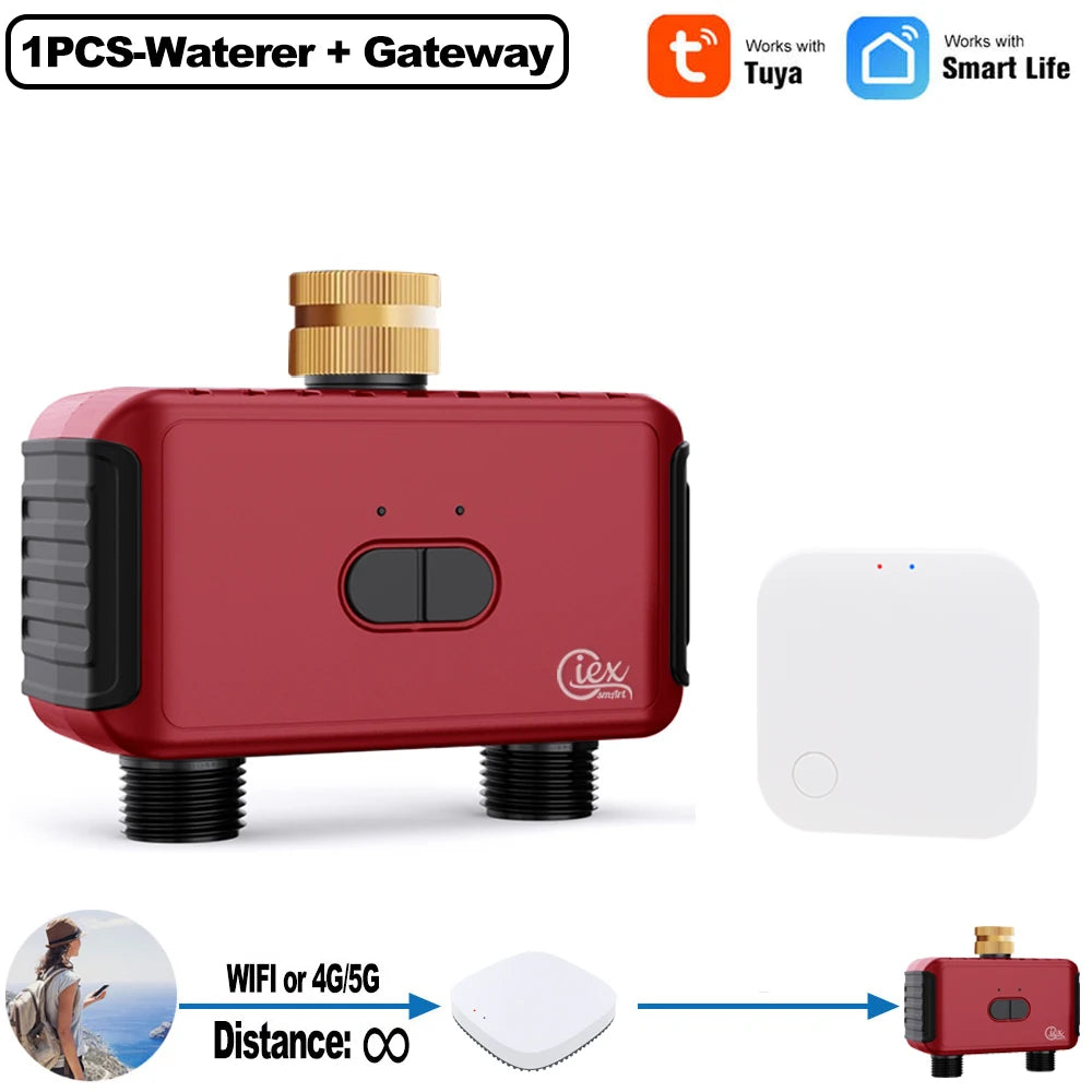 WIFI & ZIGBEE Smart 2 Zone Watering Timer Garden Automatic Irrigation System Drip Sprinkler Controller Valve Smart Life Tuya