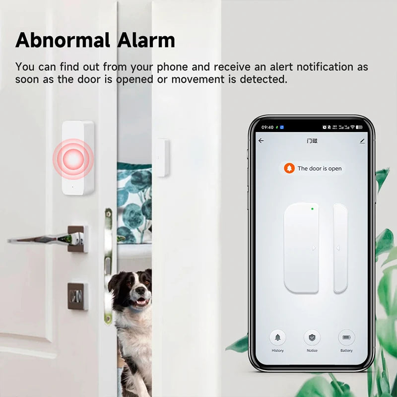 Z2M Enabled Zigbee Window Sensor, Custom Rules via Z2M, Tuya Compatible for Voice Control with Alexa & Google Home