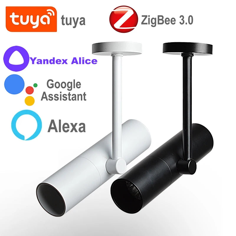 Tuya Smart Hue Led Spotlights 12W Dimmable Zigbee Home Assistant Alice Alexa Spot Led Track Lighting Ceiling Wall Lamp