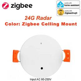 24G Zigbee Human Presence Detector Smart Human Body PIR Sensor Radar Detectormotion Sensors Support Home Assistant