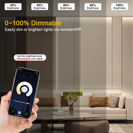 200W 300W Tuya Zigbee Dimmable Power Supply DC 24V Transformer LED Driver Support Alexa Gooogle Home for CCT LED Strip Lighting