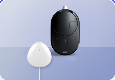 1 Sensor
