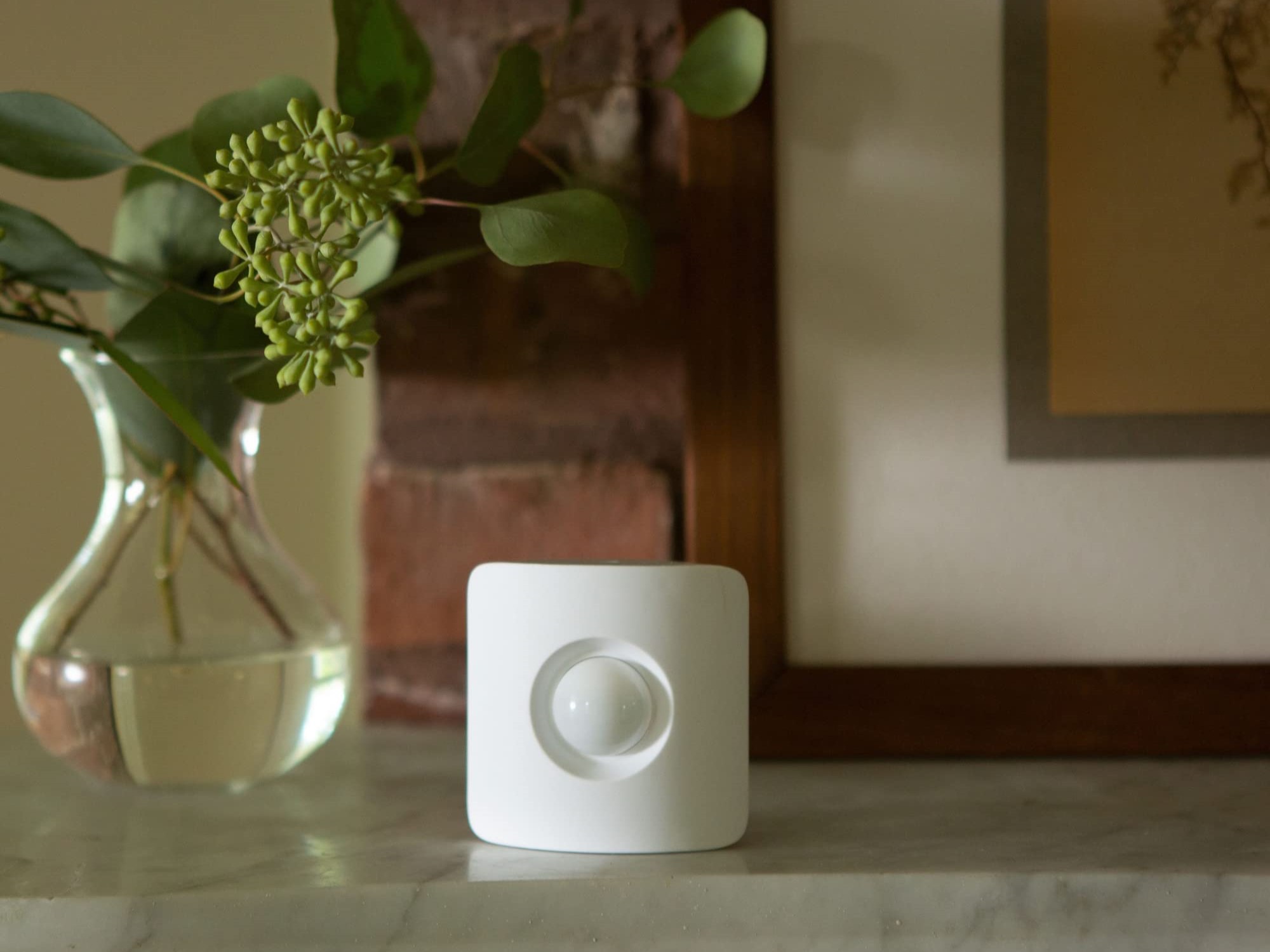 Simplisafe Motion Sensor Indoor Motion Detector